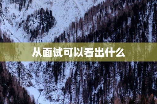 从面试可以看出什么
