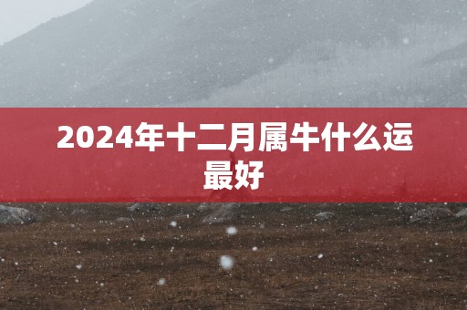 2025年十二月属牛什么运最好