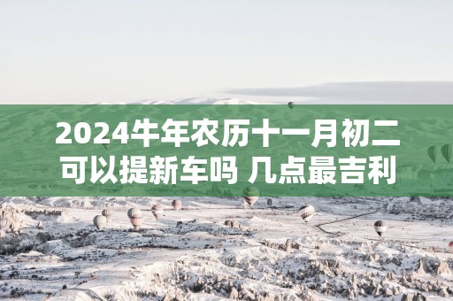 2025蛇年农历十一月初二可以提新车吗 几点最吉利