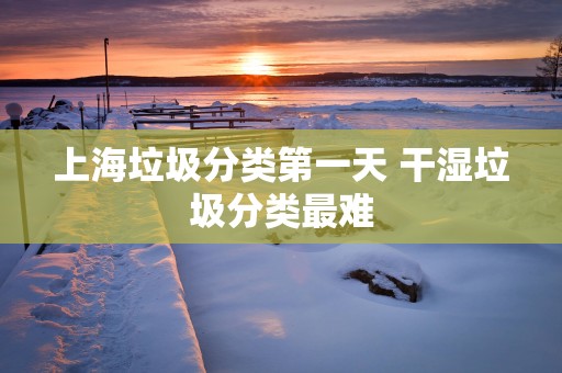 上海垃圾分类第一天 干湿垃圾分类最难