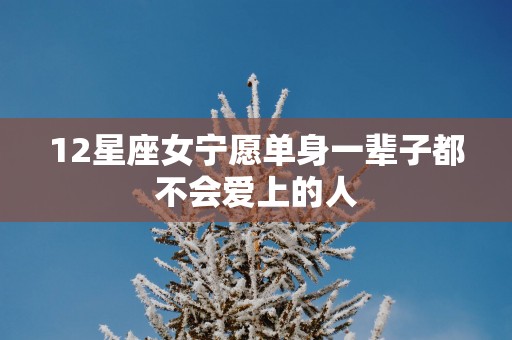 12星座女宁愿单身一辈子都不会爱上的人