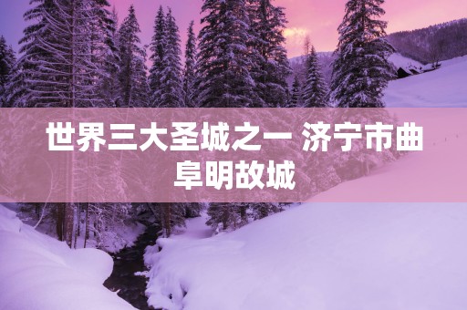 世界三大圣城之一 济宁市曲阜明故城