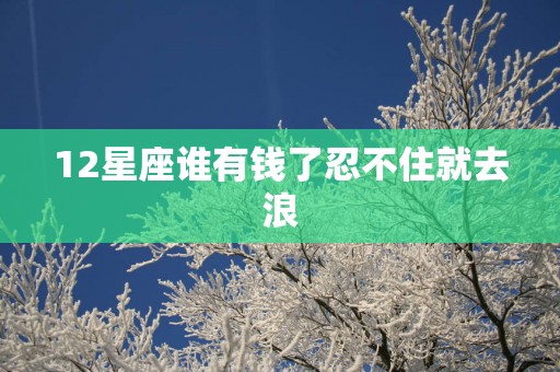 12星座谁有钱了忍不住就去浪