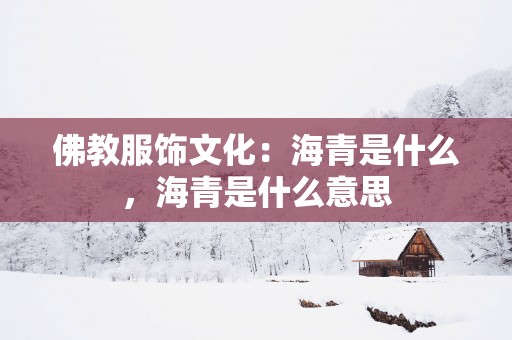 佛教服饰文化：海青是什么，海青是什么意思