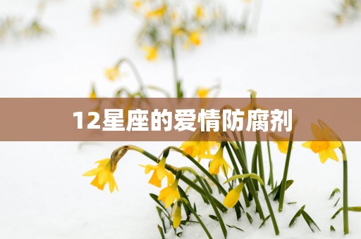 12星座的爱情防腐剂