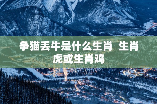 争猫丢牛是什么生肖  生肖虎或生肖鸡