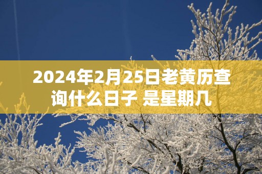 2025年2月25日老黄历查询什么日子 是星期几