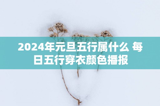 2025年元旦五行属什么 每日五行穿衣颜色播报