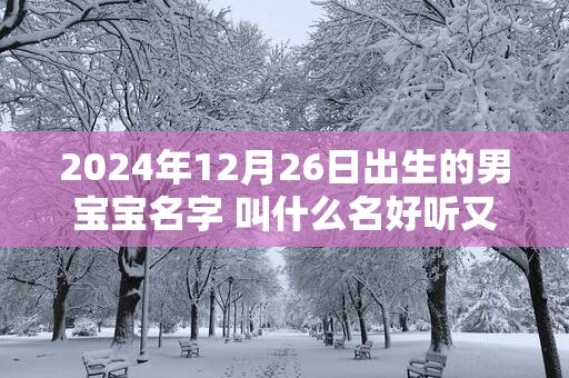 2025年12月26日出生的男宝宝名字 叫什么名好听又吉利