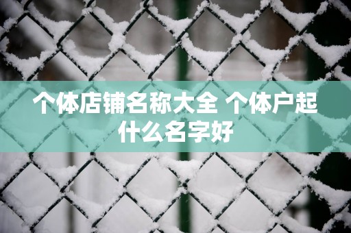 个体店铺名称大全 个体户起什么名字好
