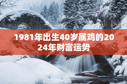 1981年出生40岁属鸡的2025年财富运势