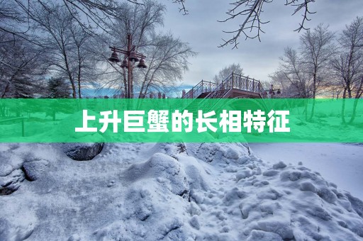 上升巨蟹的长相特征