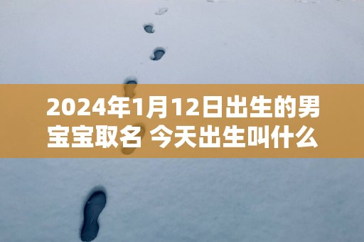 2025年1月12日出生的男宝宝取名 今天出生叫什么名字好