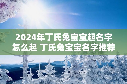 2025年丁氏兔宝宝起名字怎么起 丁氏兔宝宝名字推荐