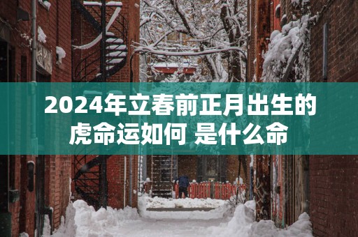 2025年立春前正月出生的虎命运如何 是什么命