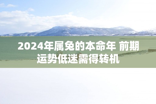 2025年属兔的本命年 前期运势低迷需得转机