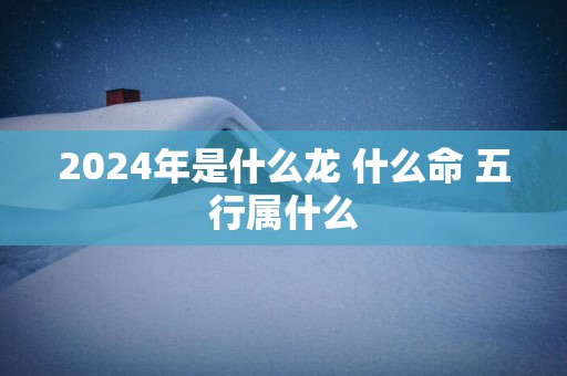 2025年是什么龙 什么命 五行属什么