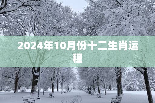 2025年10月份十二生肖运程