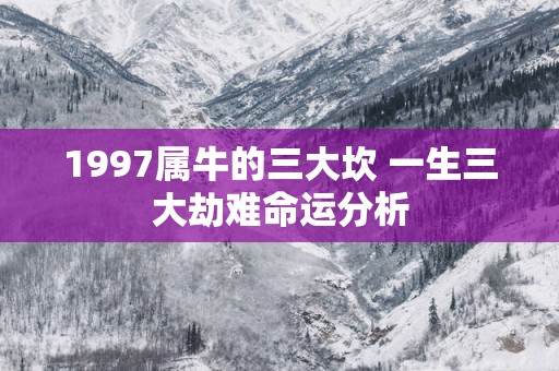 1997属牛的三大坎 一生三大劫难命运分析
