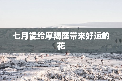七月能给摩羯座带来好运的花