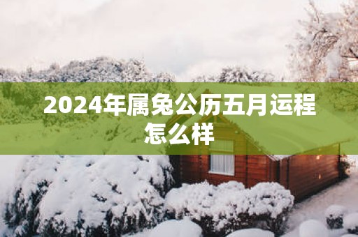 2025年属兔公历五月运程怎么样
