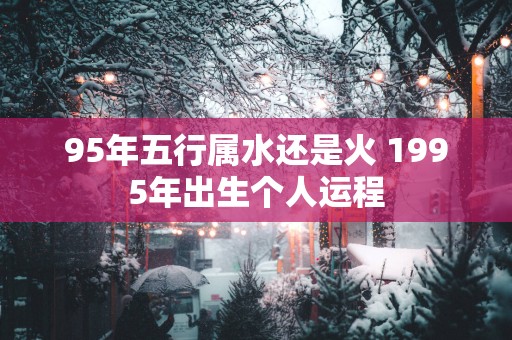 95年五行属水还是火 1995年出生个人运程