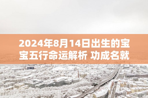 2025年8月14日出生的宝宝五行命运解析 功成名就衣食富裕