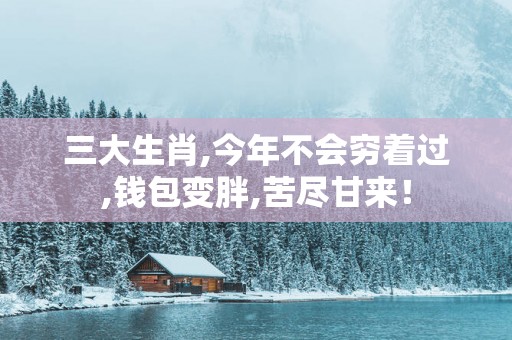 三大生肖,今年不会穷着过,钱包变胖,苦尽甘来！