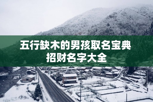 五行缺木的男孩取名宝典 招财名字大全