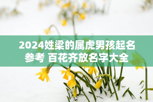 2024姓梁的属虎男孩起名参考 百花齐放名字大全