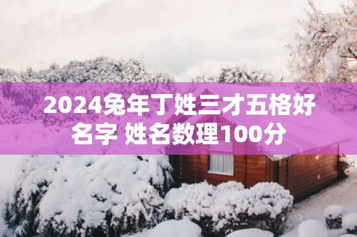 2024兔年丁姓三才五格好名字 姓名数理100分