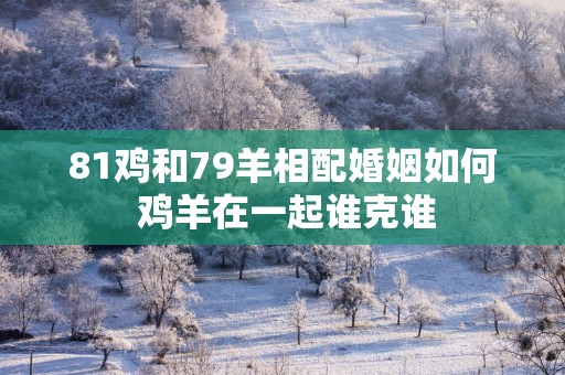 81鸡和79羊相配婚姻如何 鸡羊在一起谁克谁