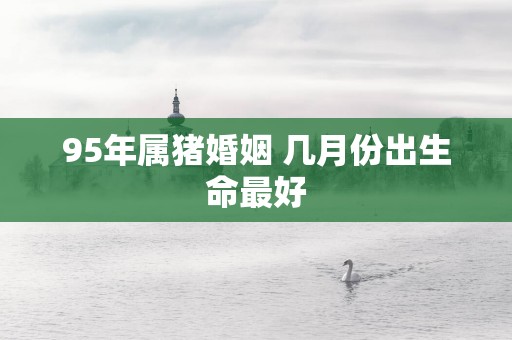 95年属猪婚姻 几月份出生命最好