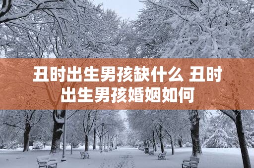 丑时出生男孩缺什么 丑时出生男孩婚姻如何