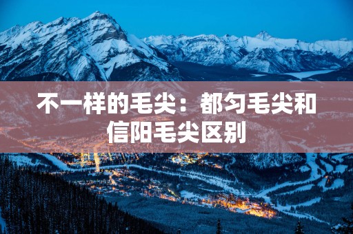 不一样的毛尖：都匀毛尖和信阳毛尖区别