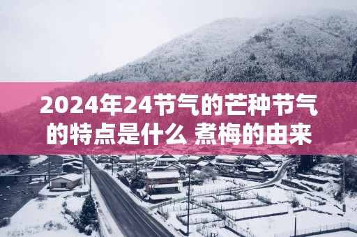 2025年24节气的芒种节气的特点是什么 煮梅的由来 2025年24节气的芒种节气的特点是什么 煮梅的由来
