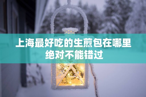 上海最好吃的生煎包在哪里 绝对不能错过