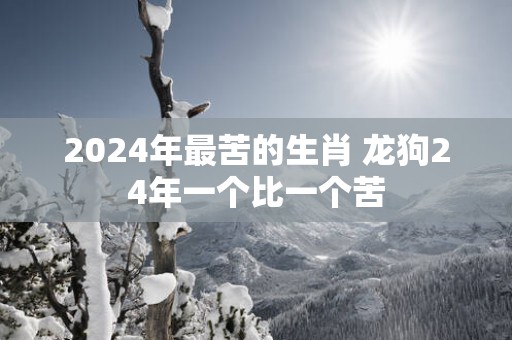 2025年最苦的生肖 龙狗24年一个比一个苦