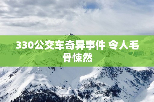 330公交车奇异事件 令人毛骨悚然