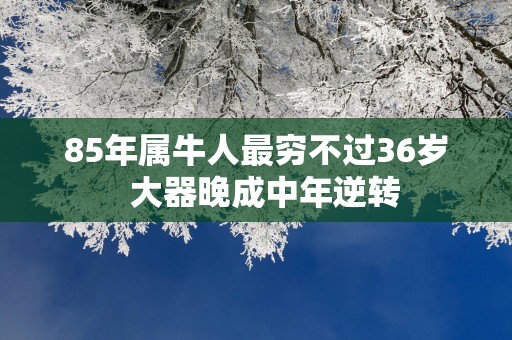 85年属牛人最穷不过36岁  大器晚成中年逆转