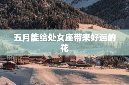 五月能给处女座带来好运的花