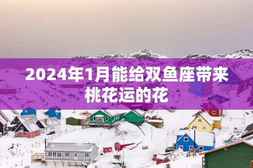 2025年1月能给双鱼座带来桃花运的花