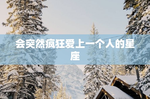 会突然疯狂爱上一个人的星座