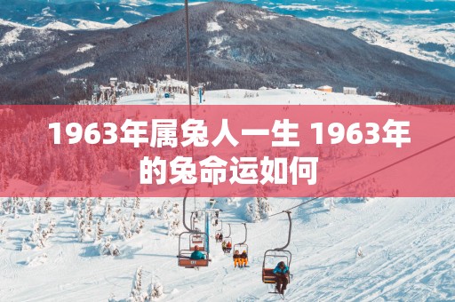 1963年属兔人一生 1963年的兔命运如何