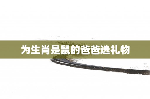 为生肖是鼠的爸爸选礼物