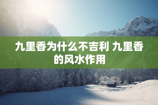 九里香为什么不吉利 九里香的风水作用