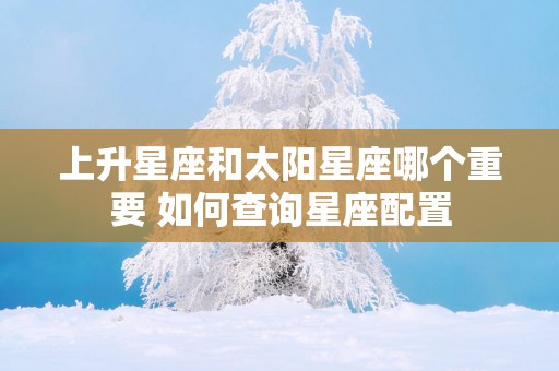 上升星座和太阳星座哪个重要 如何查询星座配置