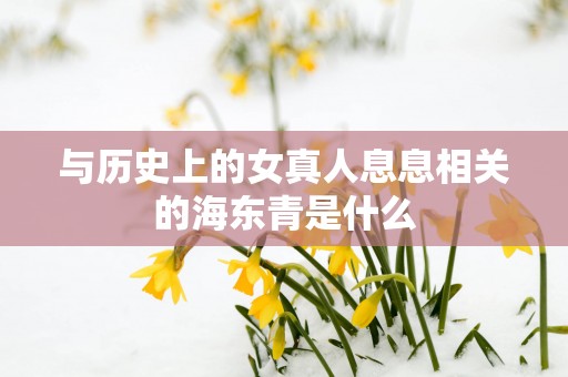 与历史上的女真人息息相关的海东青是什么