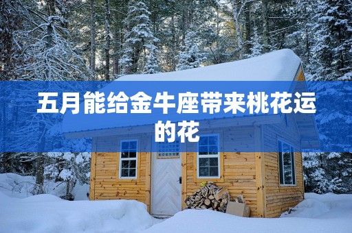 五月能给金牛座带来桃花运的花