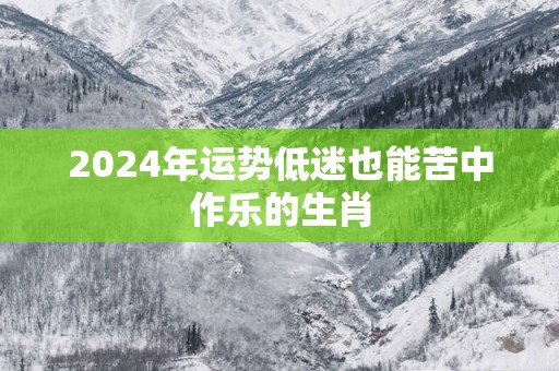 2025年运势低迷也能苦中作乐的生肖